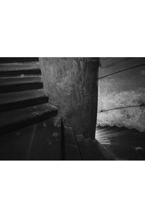 SFS_1