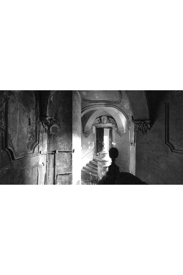 SFS_3